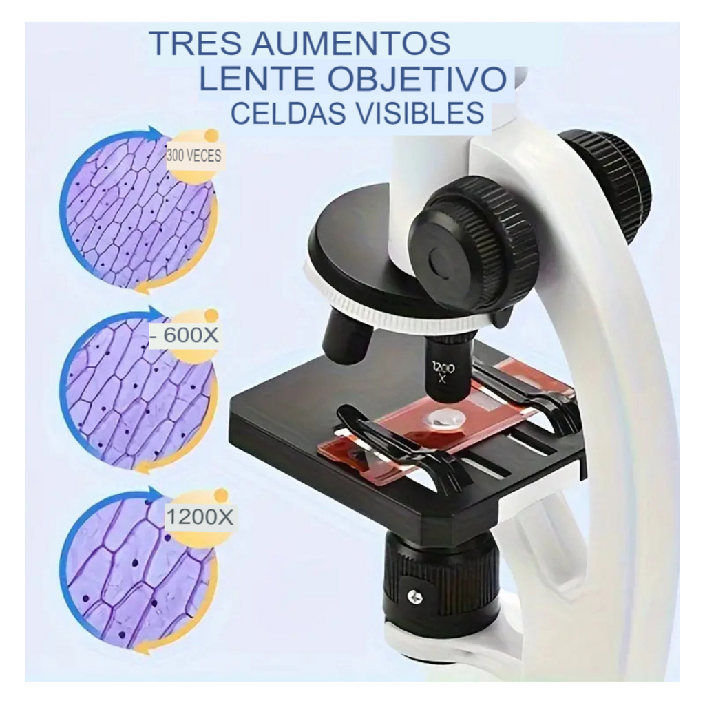 Kit Microscopio Compuesto Luz