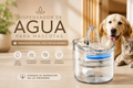Dispensador de Agua Mascotas